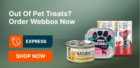 UAE_CLP_PA_GenericBar_Sale_friskies_20251111_ar