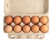 البيض