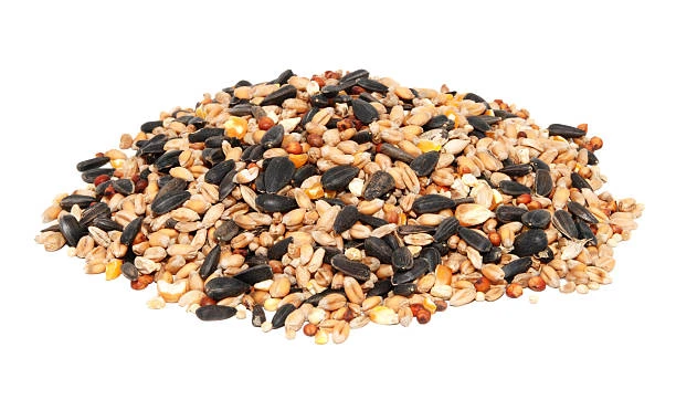 Bird Food