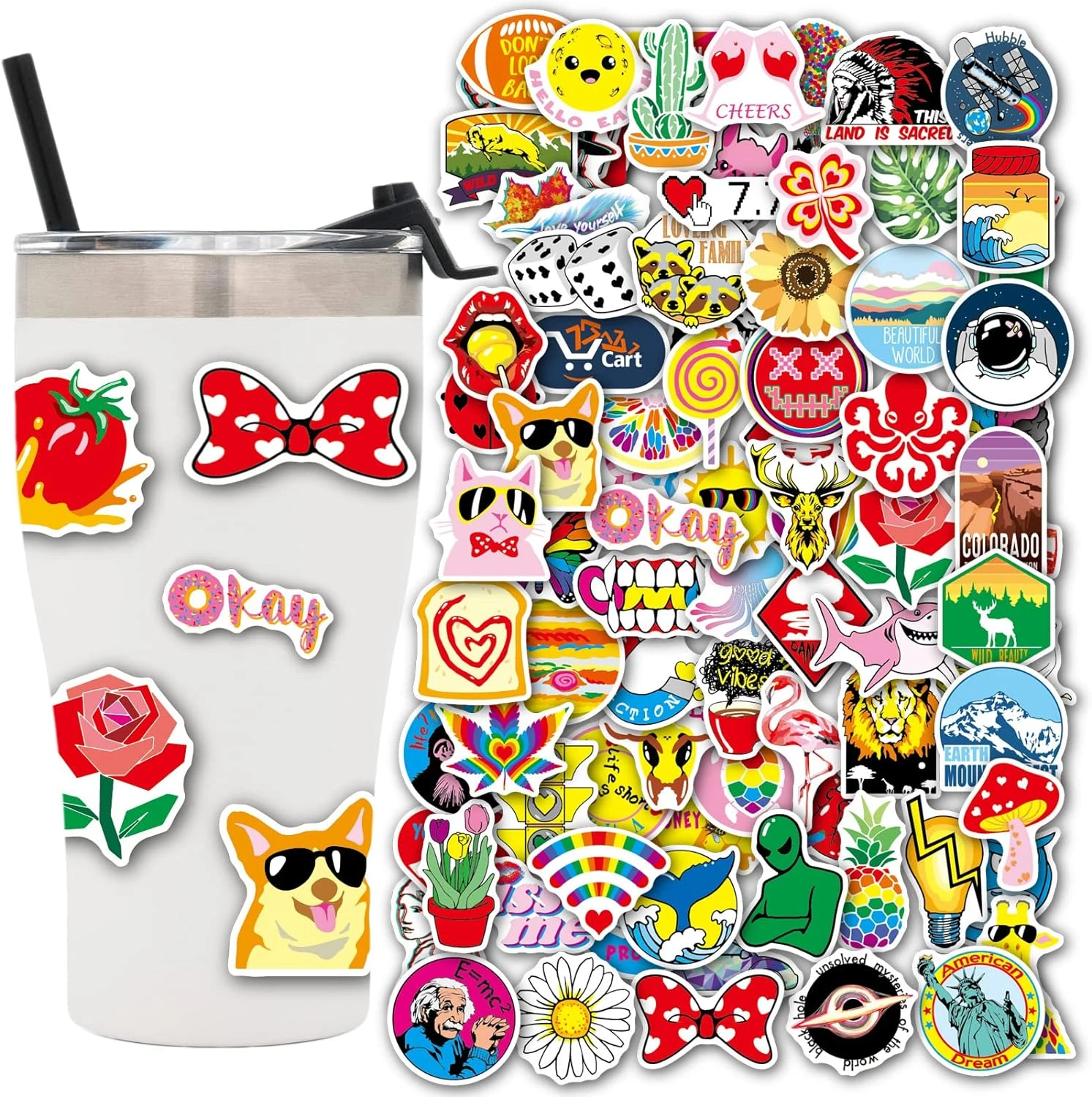 ZCtron 100 PCS Water Bottle Stickers for Kids Teens,Cute Vsco Vinyl Aesthetic Waterproof LaptopStickers,Mixed Stickers Packfor ScrapbookComputer Skateboard Phone,Perfect for Gift