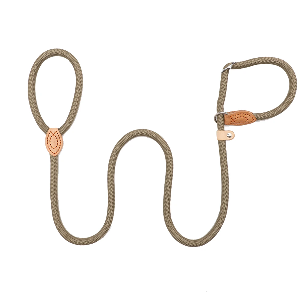 ZCtron Dog Leash, Slip Rope Dog Training Leash,  Braided Pet Training Lead-Beige-1.5M