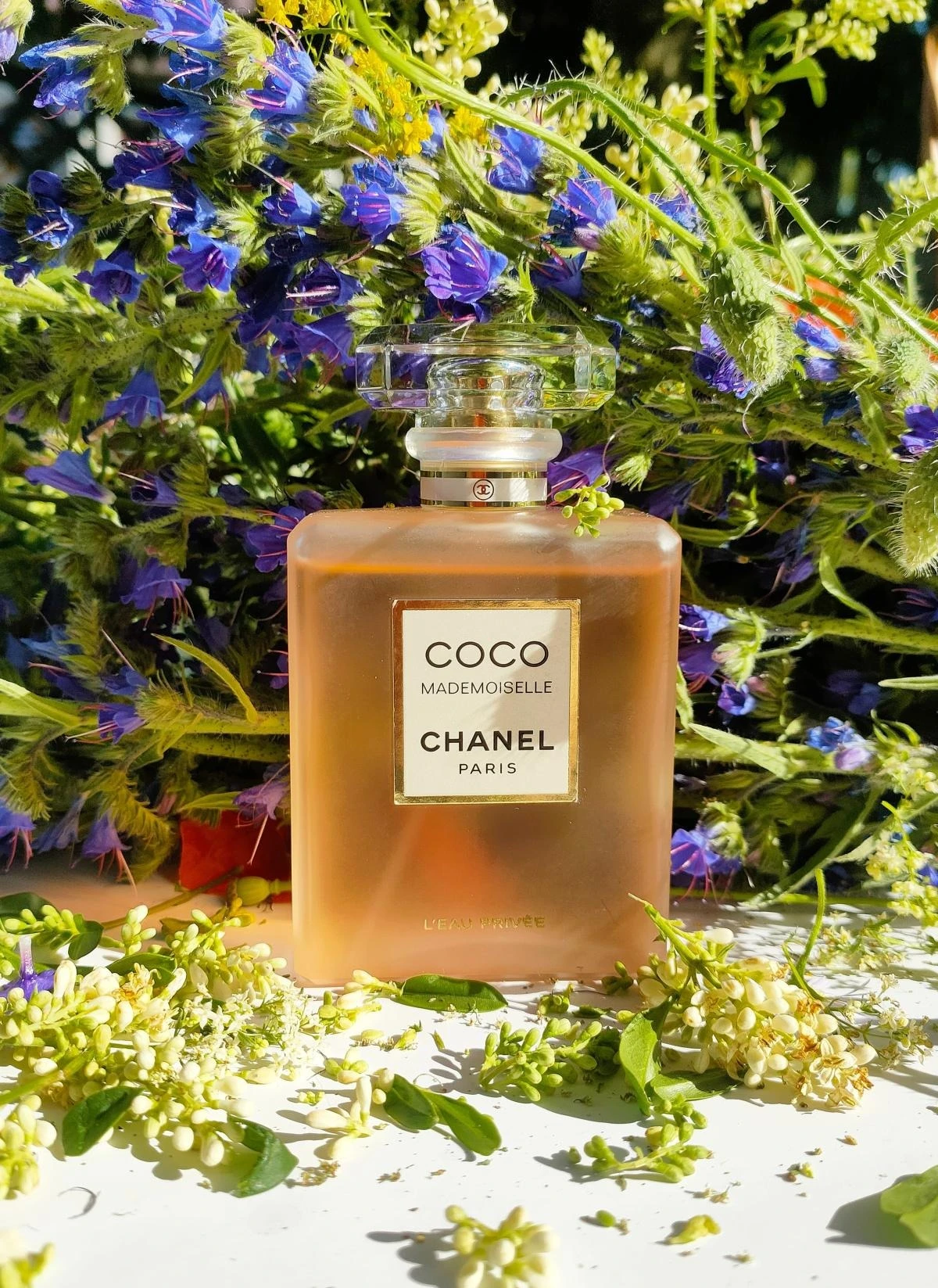 Buy Chanel Coco Mademoiselle L'eau Privée Eau De Parfum 100ml