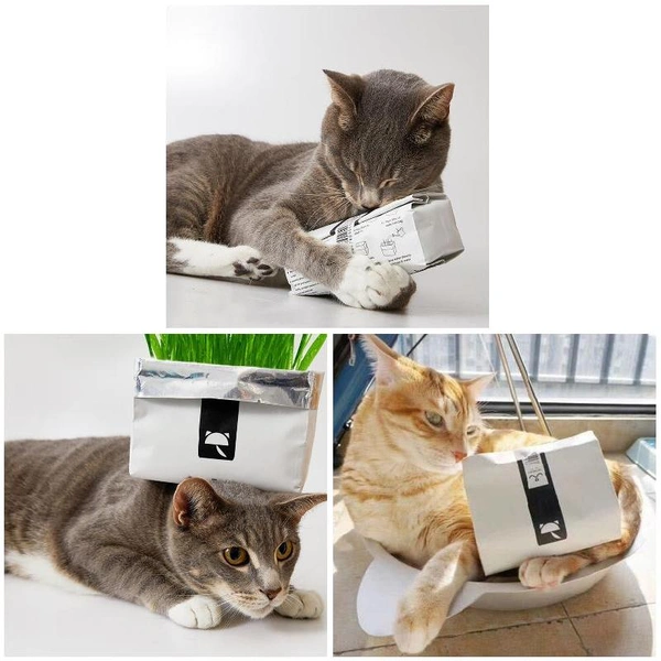 Cat Grass Soilless Culture Kit Grass Seeds With Paper Bag Help Cats