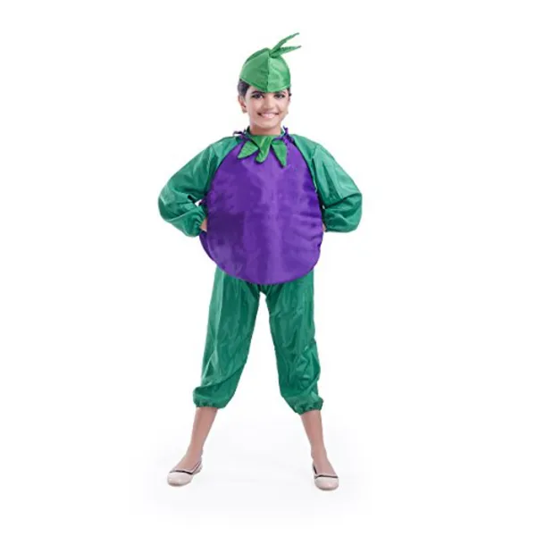 FancyDressWale Brinjal Vegetable Dress For Boys And Girls Vegetable