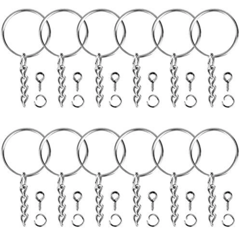 Paxcoo 100pcs Keychain Rings with Chain and 100 Pcs Screw Eye Pins Bulk for Crafts