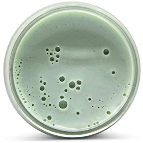 Anchors Aweigh Courage Vegan Matte Hair Clay Light Green 127g