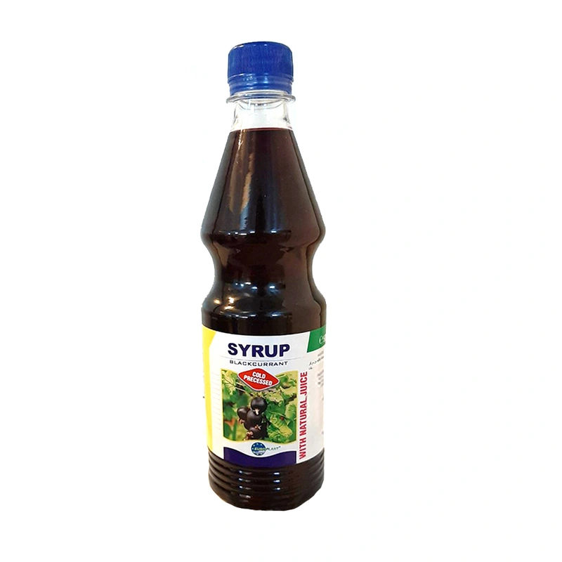 Europlant Black Currant Syrup 500 ml