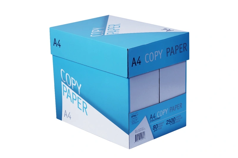Copy Paper A4 Blue Photocopy Paper 80 GSM White 500 Sheets Pack Of 5