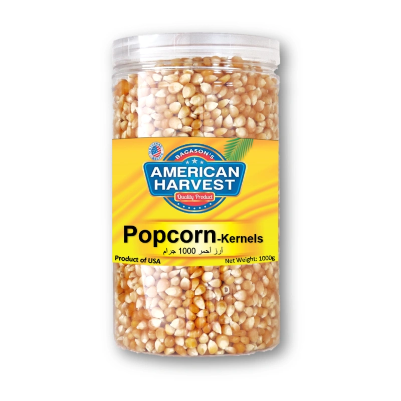 American Harvest Yellow Popcorn Kernels In Jar, 1 kg Wholesale