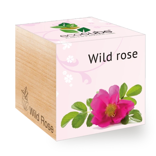 Eco Cube Herb Mix Wild Rose