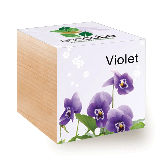 Eco Cube Herb Mix Violet