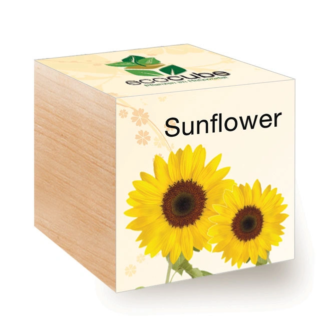 Eco Cube Herb Mix Sunflower