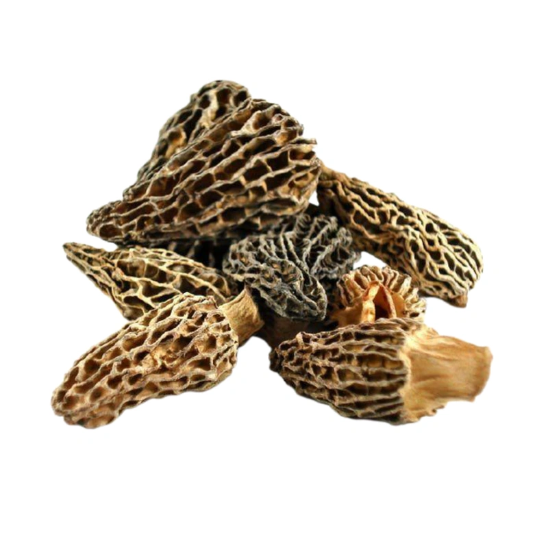 SweeFood Wild Morel Mushrooms Gucchi Mushrooms 1 Kg Wholesale Prices Tradeling