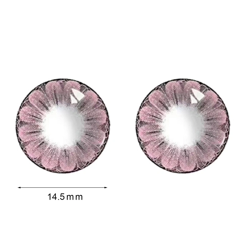 1Pair Eye Contacts Lenses Yearly Use Soft HEMA Big Plum Blossom Beauty
