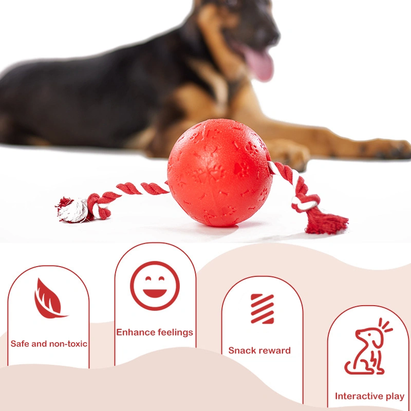 Interactives Treat Ball Toys Interesting Educational Toys Food