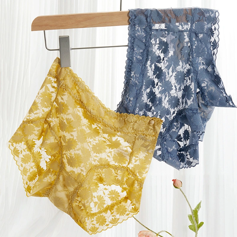 Lace Panties Women's Sense Girls Silk Crotch Large Size Light