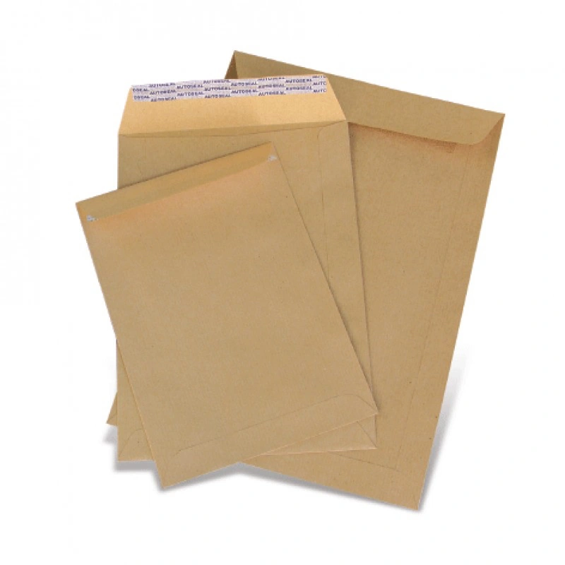 Hispapel H19839 Brown Envelope A4, (Pack of 50) Wholesale Prices