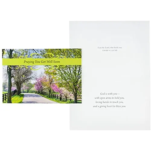Dayspring Birdhouses Get Well Inspirational Greeting Card Multicolor 4
