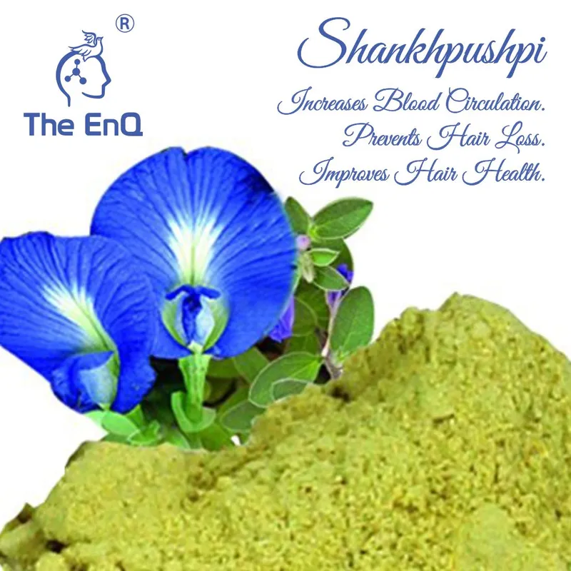 The EnQ Organic Palash & Shankhpushpi Shampoo | Wholesale | Tradeling