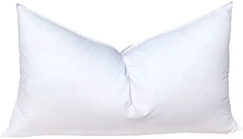 12x20 pillow insert